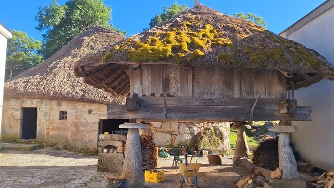 Hórreo con teito de colmo cuberto de musgo